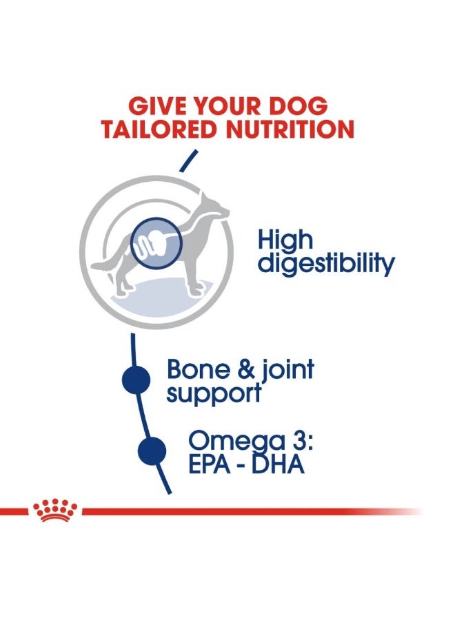 رويال كانين حجم التغذية الصحية ماكسي للبالغين (طعام رطب - أكياس) 10 × 140 غرام - Image 5